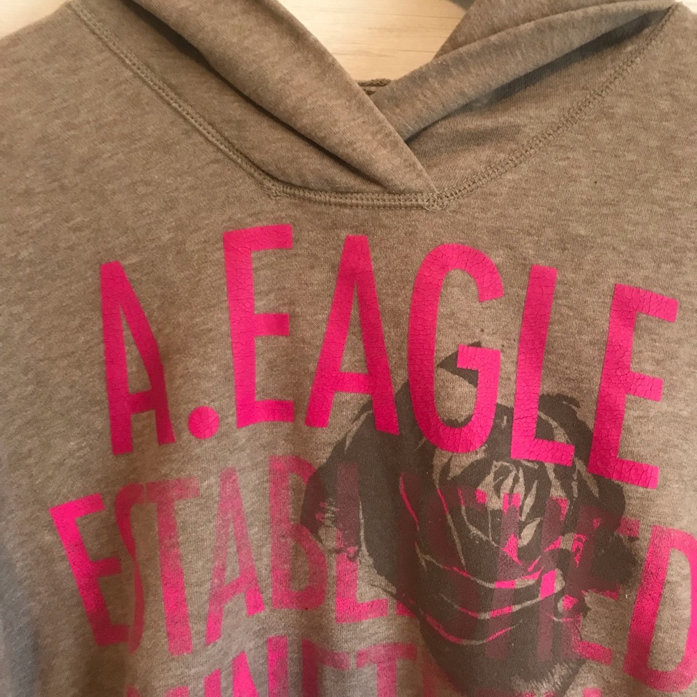 American Eagle Hooded Sweatshirt - Picture 2 of 3